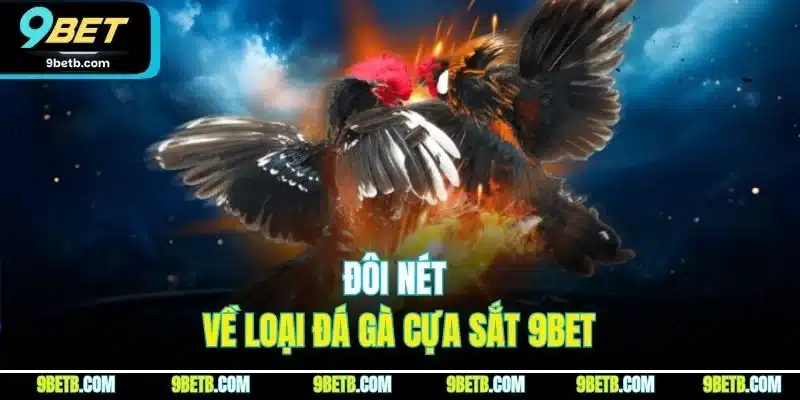 Đôi nét về loại đá gà cựa sắt 9BET