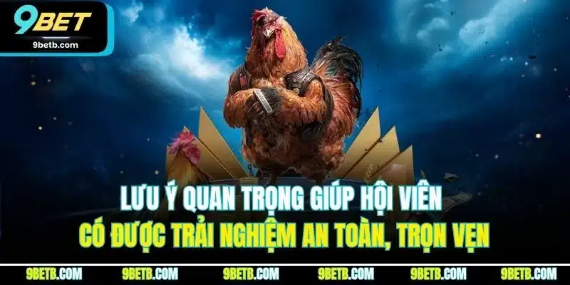 Lưu ý quan trọng giúp hội viên có được trải nghiệm an toàn, trọn vẹn